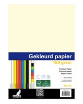 Shetland bezoeker Erfenis Printpapier 160 grams Wit - Boekhandel Mondria