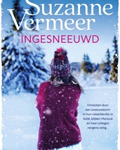 Vermeer - Ingesneeuwd