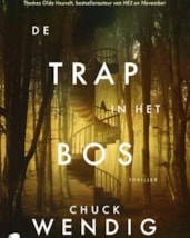 Wendig - De trap in het bos
